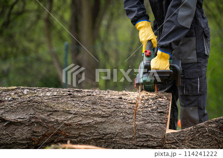 A man in uniform cuts an old tree in the yard with an electric saw 114241222