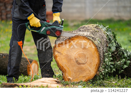 A man in uniform cuts an old tree in the yard with an electric saw 114241227
