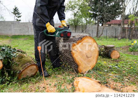 A man in uniform cuts an old tree in the yard with an electric saw A man in uniform cuts an old tree in the yard with an electric saw 114241229