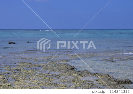 沖縄の水平線、碧い海と青い空と干潮時の磯辺 沖縄の水平線、碧い海と青い空と干潮時の磯辺 114241332