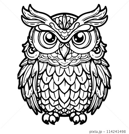 Mandala Coloring Page for Adults. Owl Head Zen Spiritual Relax Colouring Book Template. Mandala Coloring Page for Adults. Owl Head Zen Spiritual Relax Colouring Book Template. 114241498