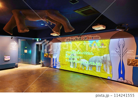 札幌市円山動物園　ぞう舎 114241555