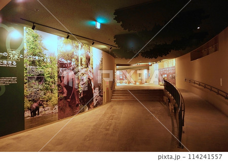 札幌市円山動物園　ぞう舎 114241557