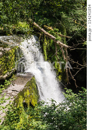 南ウェールズのバンネ・ブライチェイニオッグ国立公園の山奥にあるスクイド・クラン=グウィンの滝 南ウェールズのバンネ・ブライチェイニオッグ国立公園の山奥にあるスクイド・クラン=グウィンの滝 114241854