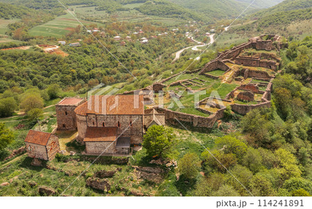 Ruins of the medieval town of Dmanisi 114241891