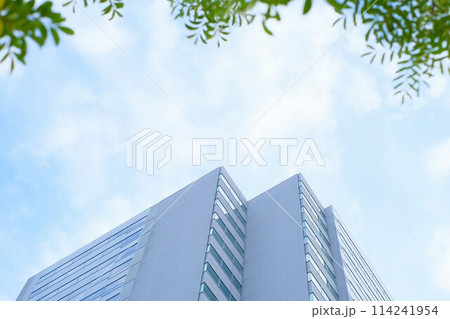 青空を背景にしたオフィスビル 青空を背景にしたオフィスビル 114241954