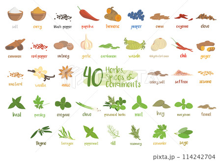 Set of 40 different culinary herbs, species and condiments in cartoon style. Set of 40 different culinary herbs, species and condiments in cartoon style. 114242704