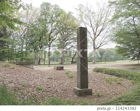 下野国分寺跡 下野国分寺跡 114243392