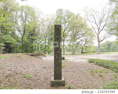 下野国分寺跡 114243394