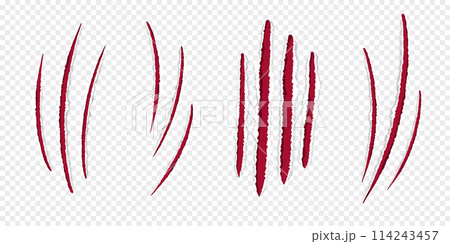 Cat claws red scratches, torn paper edge isolated on transparent background realistic. Damaged surface textured holes.  114243457