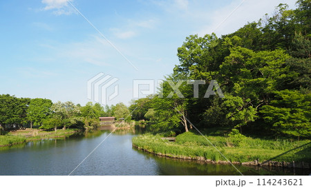 古河公方公園　御所沼 114243621