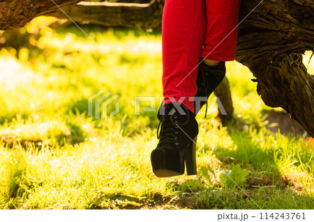 Female foot in elegant black shoes. 114243761