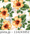 hibuscus flower with geometric lines background seamless pattern 114243852