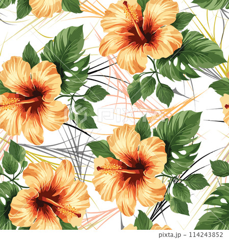 hibuscus flower with geometric lines background seamless pattern hibuscus flower with geometric lines background seamless pattern 114243852
