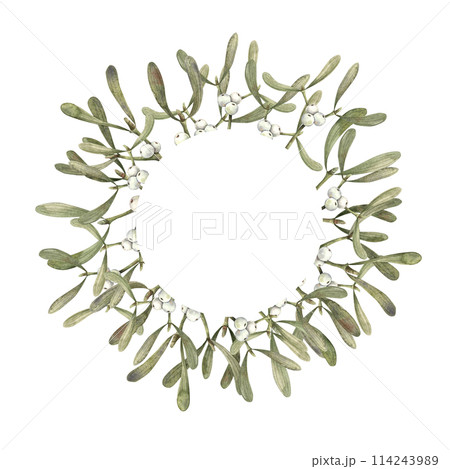 Mistletoe with white berries. Christmas watercolor winter botanical wreath on isolated background. Illustration for greeting cards, holiday banners, wrapping paper, decor, Christmas decorations Mistletoe with white berries. Christmas watercolor winter botanical wreath on isolated background. Illustration for greeting cards, holiday banners, wrapping paper, decor, Christmas decorations 114243989