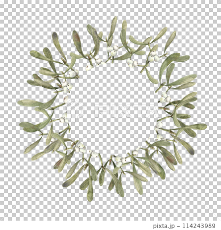 Mistletoe with white berries. Christmas watercolor winter botanical wreath on isolated background. Illustration for greeting cards, holiday banners, wrapping paper, decor, Christmas decorations Mistletoe with white berries. Christmas watercolor winter botanical wreath on isolated background. Illustration for greeting cards, holiday banners, wrapping paper, decor, Christmas decorations 114243989