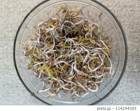 Micro-greenery. Sprouted mung beans, green mung beans in a glass bowl on the table. Juicy seedlings. Healthy food for vegans. Close-up. 114244383