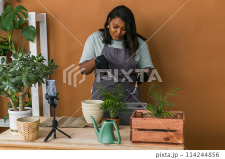 African american girl blogger influencer work on home video camera selfie shoot filming take care home plants and transplanting plant in flowerpot. Home gardening and florist concept. African american girl blogger influencer work on home video camera selfie shoot filming take care home plants and transplanting plant in flowerpot. Home gardening and florist concept. 114244856