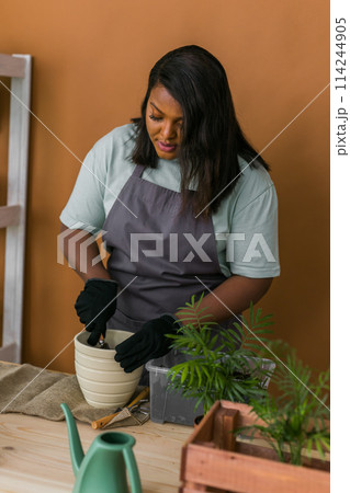 Close up female african american gardener transplanting green plants in ceramic pots on the floor. Concept of home garden and potted plants 114244905