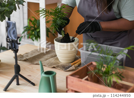 African american florist blogger filming tutorial video about transplanting plants in home garden. Make video vlog with mobile phone 114244950