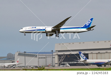 ANA787-10成田アプローチ 114245163