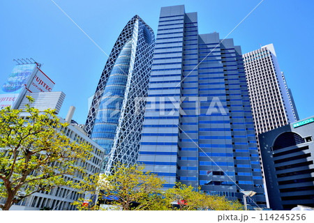 東京　新宿副都心　バス乗り場とビル群の風景 114245256