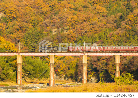 埼玉長瀞の秋　紅葉の秩父鉄道　夕日に照らされるSLパレオエクスプレス 114246457