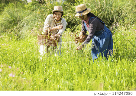 お花を摘む女性 114247080