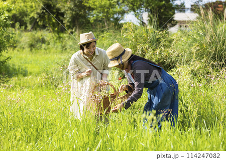 お花を摘む女性 114247082