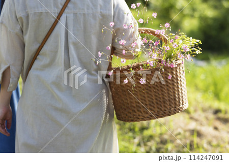 お花を摘む女性 114247091