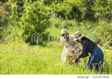 お花を摘む女性 お花を摘む女性 114247092