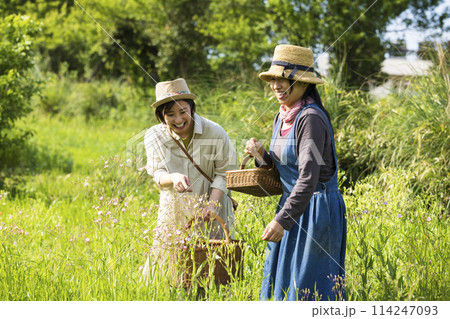 お花を摘む女性 お花を摘む女性 114247093