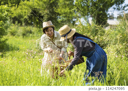 お花を摘む女性 114247095