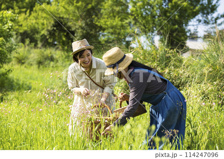 お花を摘む女性 お花を摘む女性 114247096