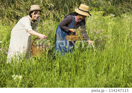 お花を摘む女性 114247115