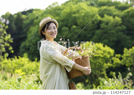 お花を摘む女性 お花を摘む女性 114247127