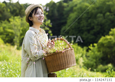お花を摘む女性 114247131