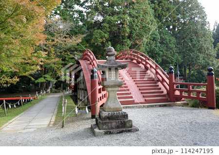 秋の丹生都比売神社 114247195