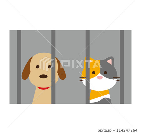 犬猫と保健所のイメージイラスト 114247264