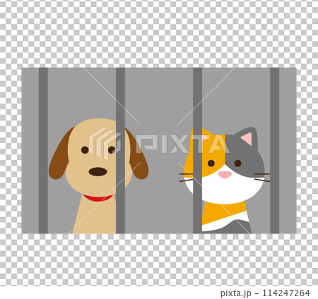 犬猫と保健所のイメージイラスト 114247264
