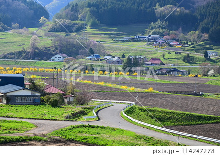 宮守の棚田地帯 宮守の棚田地帯 114247278