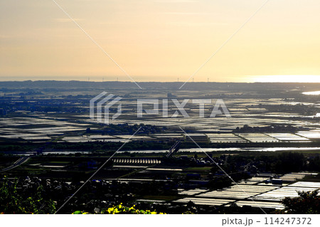 新緑の眺海の森 夕暮れの庄内地方水田風景 新緑の眺海の森 夕暮れの庄内地方水田風景 114247372