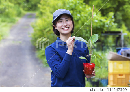 苗を持つ女性 114247399