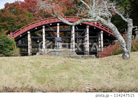 秋の丹生都比売神社 秋の丹生都比売神社 114247515