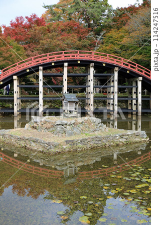 秋の丹生都比売神社 114247516
