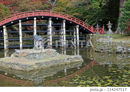 秋の丹生都比売神社 114247517