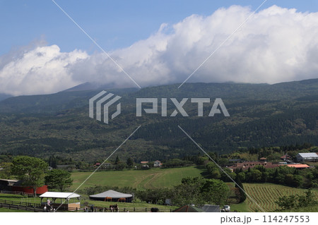 ゴールデンウィーク/高千穂牧場/宮崎 114247553