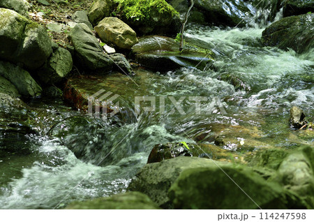 小川の水の流れ 小川の水の流れ 114247598