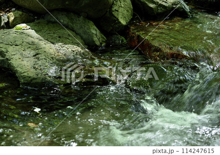 小川の水の流れ 小川の水の流れ 114247615