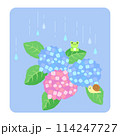 あじさいとカエルとカタツムリのイラスト 114247727